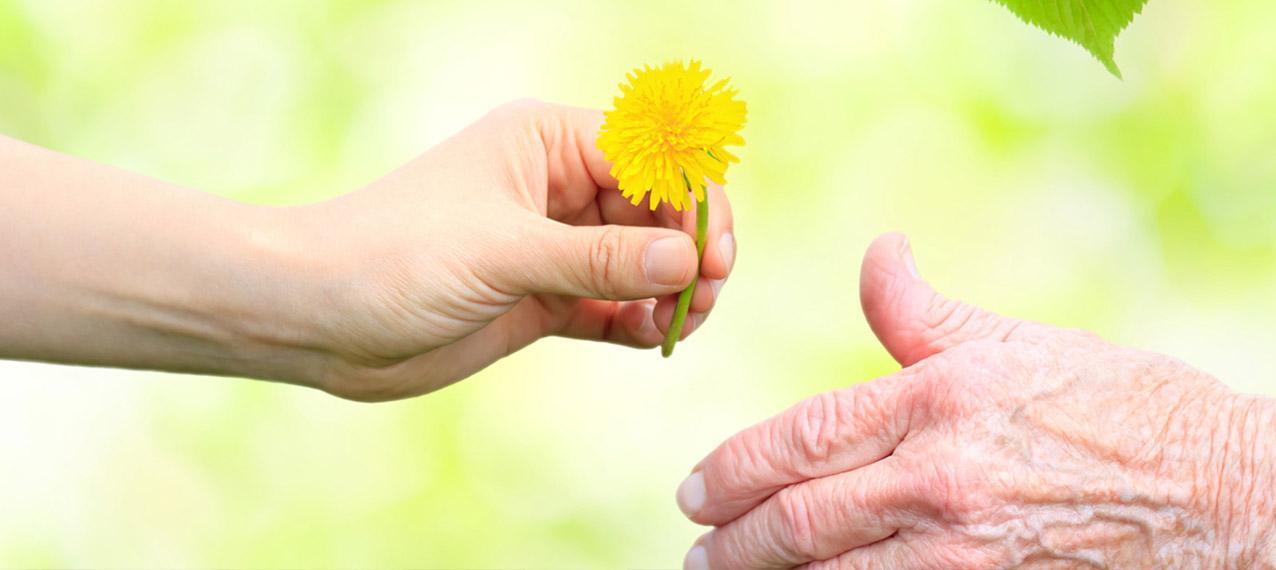 <font color ="#2F1823">Un cadre social <strong><br/>pour échanger</strong></font>